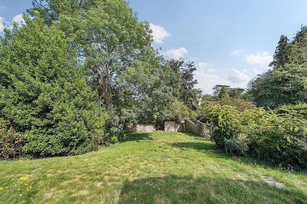 Garden view, garden