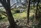 Drefach, Llanybydder photo 4