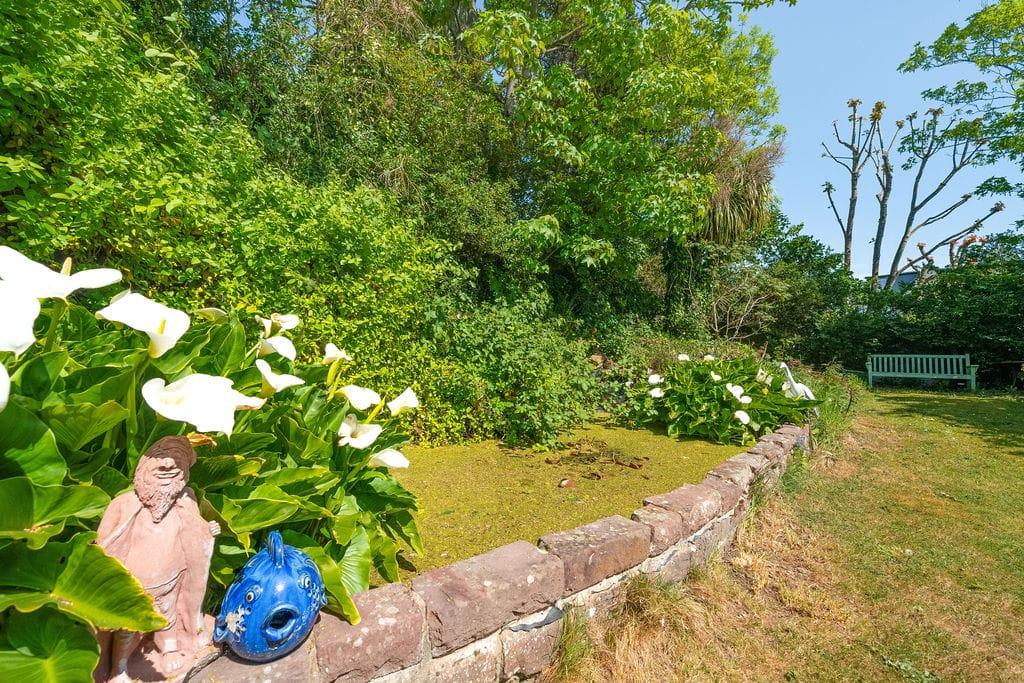 Garden view, garden