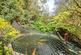 Additional image 12 of Newport Road, Godshill, Isle of Wight, PO38