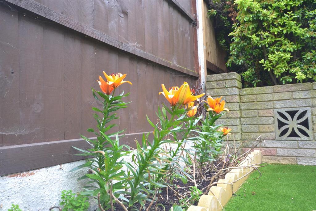 Garden view, garden