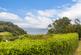 Additional image 55 of Wellswood, Torquay