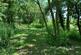 Additional image 32 of Bacton, Stowmarket