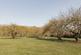 Additional image 33 of Bacton, Stowmarket