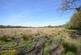 Hollydown, Venton, Drewsteignton photo 3