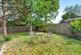 The Green, Shepperton photo 2