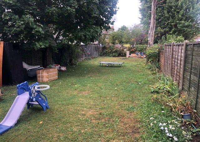 Garden view, garden