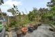 Additional image 21 of Park Road, Leyton, E10