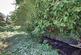 Additional image 32 of Robinsbridge Road, Coggeshall, Colchester