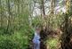 Additional image 33 of Robinsbridge Road, Coggeshall, Colchester