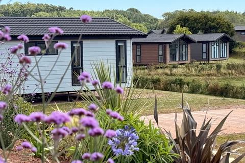 undefined, Whitehill Country Park, Stoke Road, Paignton TQ4