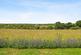 Additional image 21 of High Street, Kintbury, Hungerford, Berkshire, RG17
