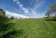 Additional image 4 of Golden Grove CARMARTHENSHIRE