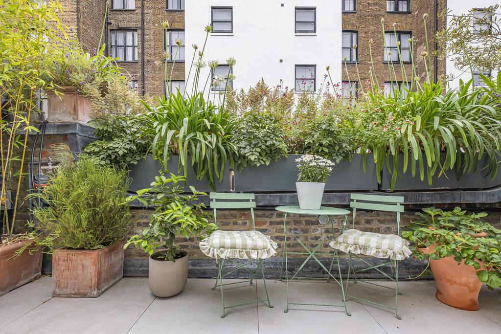 Patio view, garden