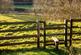 Additional image 37 of Warleigh Manor, Warleigh, Bath, Somerset, BA1