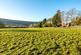 Additional image 38 of Warleigh Manor, Warleigh, Bath, Somerset, BA1