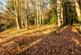 Additional image 40 of Warleigh Manor, Warleigh, Bath, Somerset, BA1