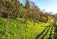 Additional image 43 of Warleigh Manor, Warleigh, Bath, Somerset, BA1