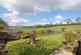 Additional image 13 of KINLOCH, BLAIRGOWRIE PH10