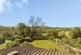 Additional image 15 of Fossway, Dunkerton, Bath
