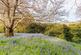 Additional image 38 of Blackwater, Isle of Wight