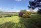 Additional image 35 of Yelverton PL20