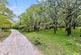 Additional image 39 of Yelverton PL20