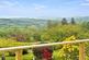 Additional image 6 of Yelverton PL20