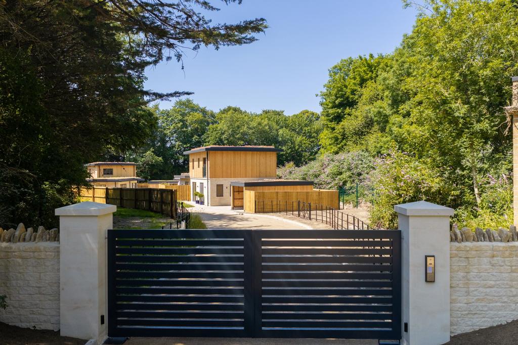 Driveway view