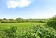 Additional image 2 of Laceys Lane, Niton, Ventnor, Isle of Wight, PO38