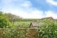Additional image 6 of Laceys Lane, Niton, Ventnor, Isle of Wight, PO38