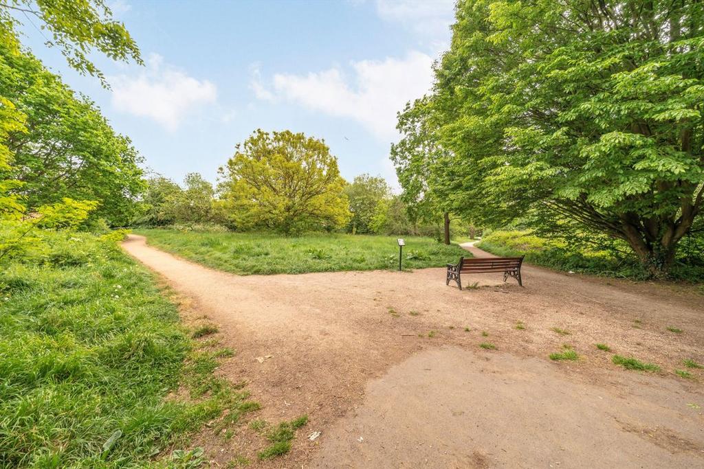 Garden view, garden