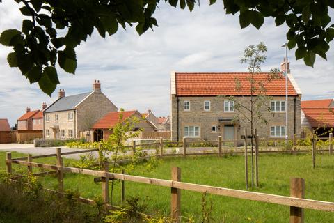 undefined, Butleigh Fields, Somerset, BA6