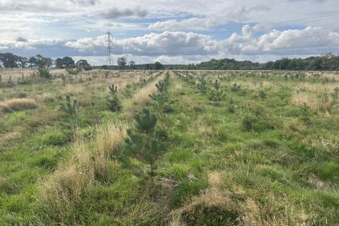 Woodland for sale, Shotton Colliery, Co. Durham DH6