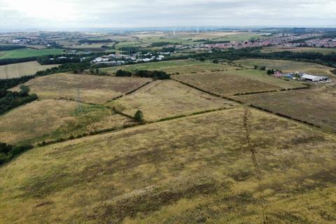Woodland for sale, Shotton Colliery, Co. Durham DH6