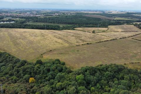 Woodland for sale, Shotton Colliery, Co. Durham DH6