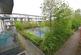 1 Jacks Farm Way, Highams Park, London . E4 9BF
