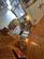 Additional image 17 of Woodland Holiday Park, Church Street, Trimingham, Norwich