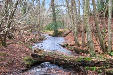 Land for sale, Holford, Bridgwater, Somerset, TA5