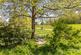 Additional image 17 of Napier Road, Tunbridge Wells, TN2