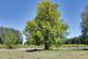 Meadowgate Lane, Emneth, PE14 photo 5