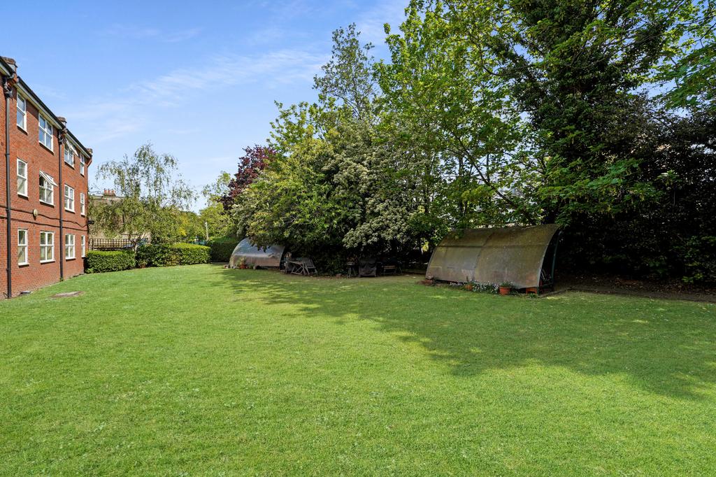 Garden view, garden