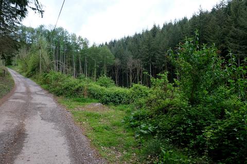 Woodland for sale, Roadwater, Watchet TA23