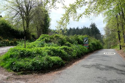 Woodland for sale, Roadwater, Watchet TA23