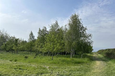 Land for sale, Wetmoor Lane, Langport, Somerset, TA10