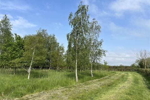Land for sale, Wetmoor Lane, Langport, Somerset, TA10