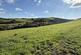 Additional image 23 of Carmel, Llanelli
