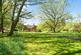 Additional image 29 of Bashurst Hill, Itchingfield