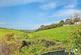 Raddicombe Drive, Brixham photo 3