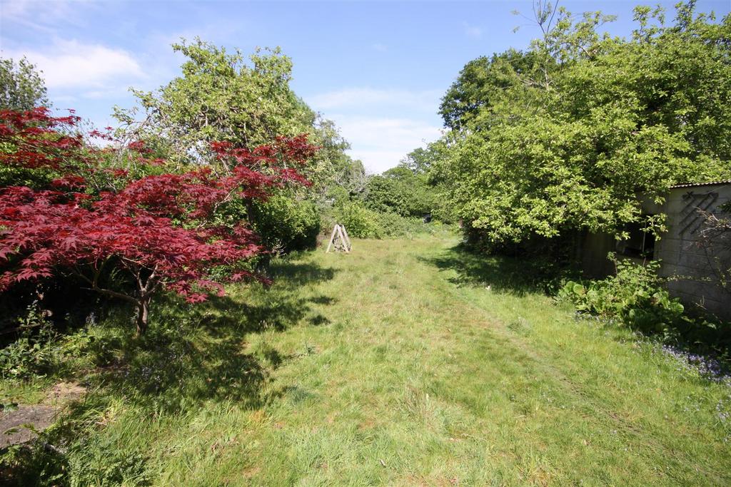 Garden view, garden